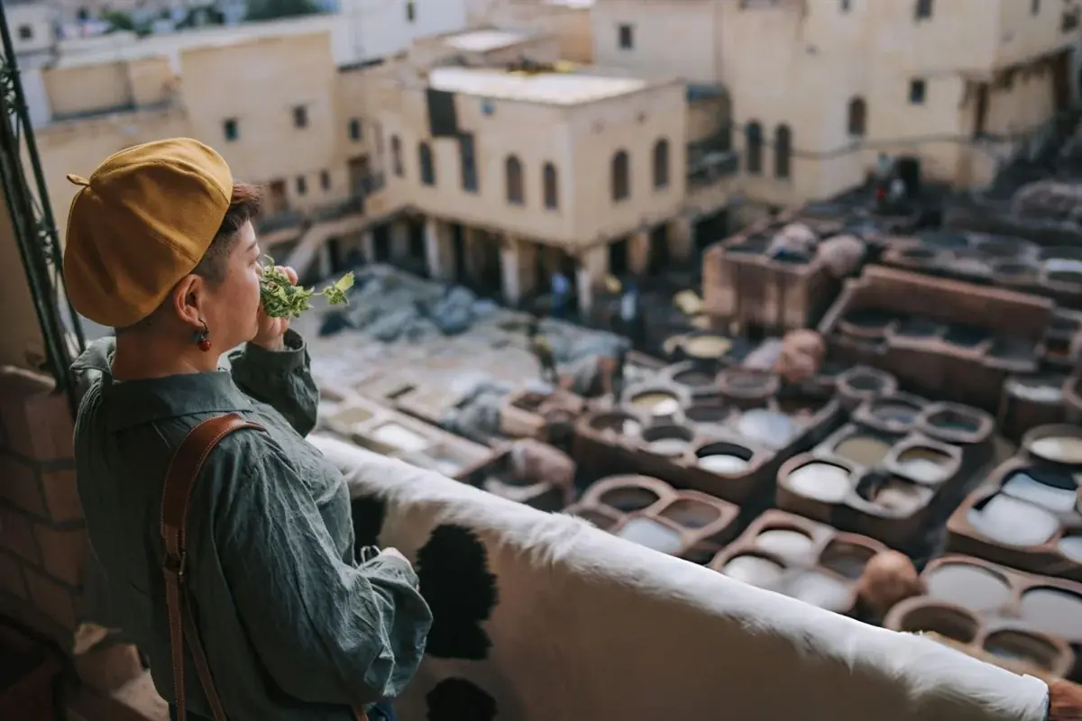 Ancient Labyrinth: 1-Day Fes Medina Walking Tour gallery 4
