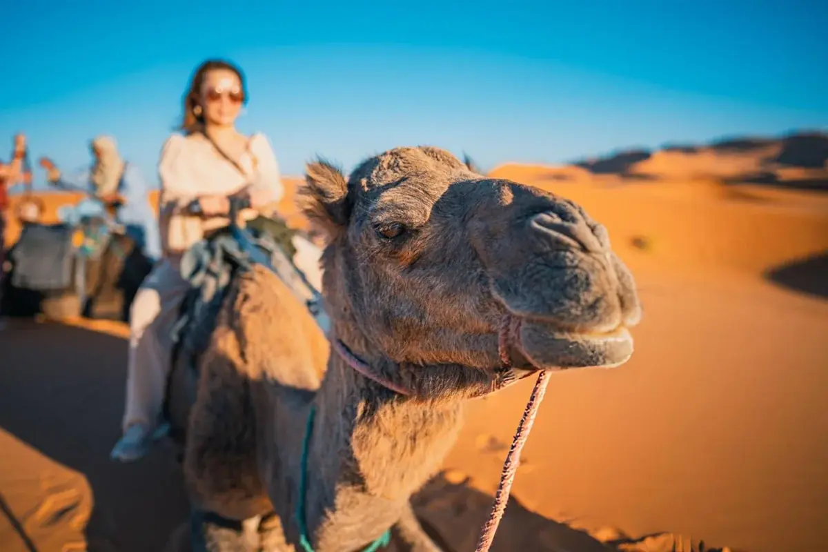Desert Near Marrakech: 1-Day Agafay Desert Experience gallery 2