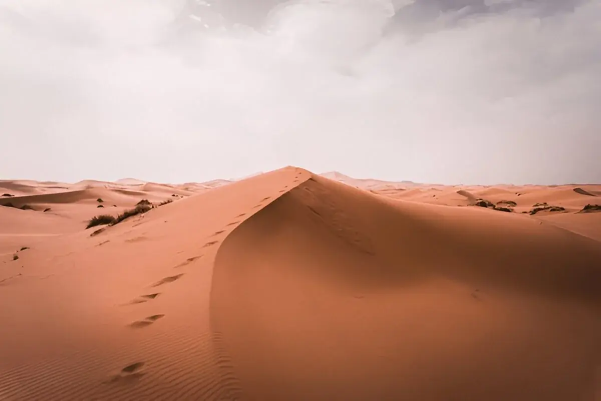 Remote Sahara: 3-Day Erg Chigaga Expedition gallery 1