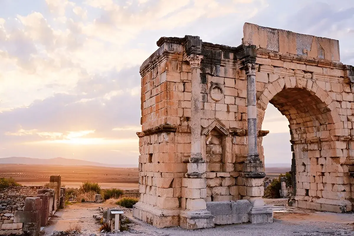 Volubilis gallery 0
