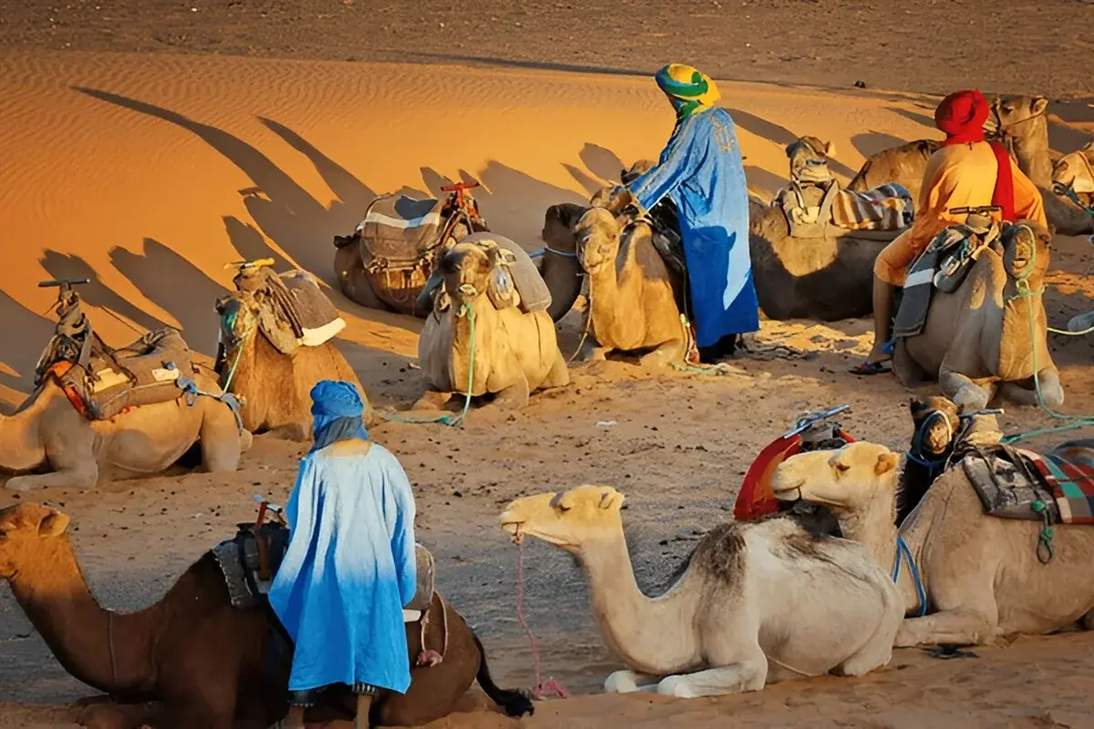 Berber Heritage: 6-Day Luxury Berber Culture Immersion gallery 3