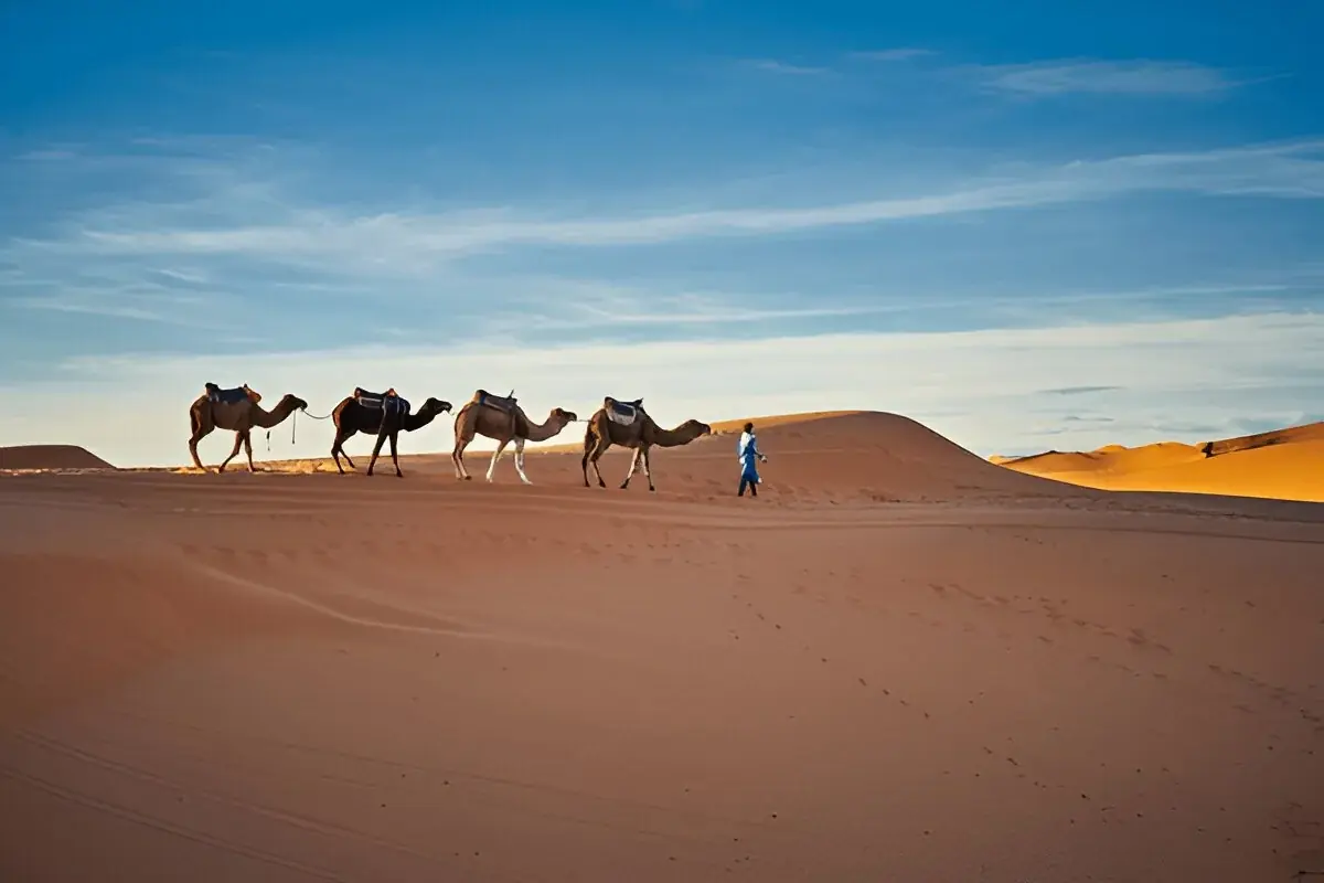 Desert Gateway: 2-Day Fes to Merzouga Desert gallery 4