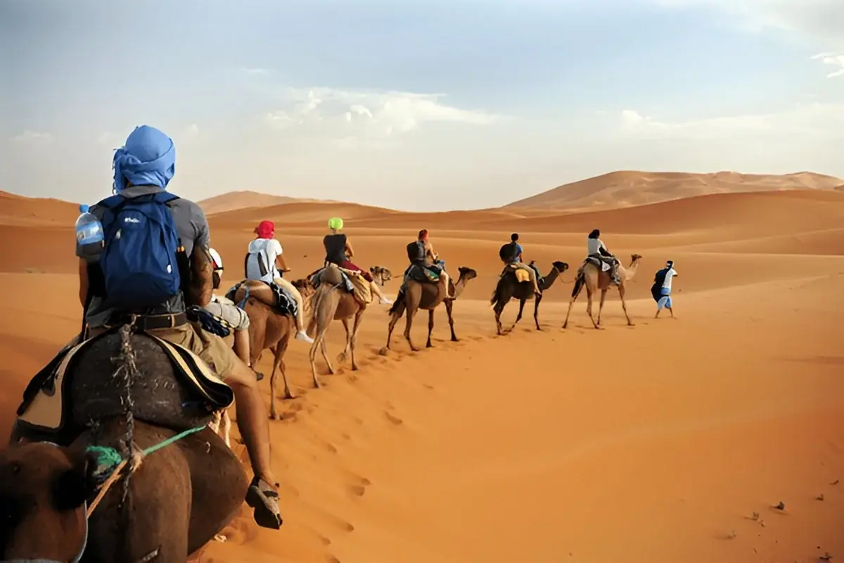 Alpine Morocco: 1-Day Middle Atlas & Ifrane Day Trip gallery 3