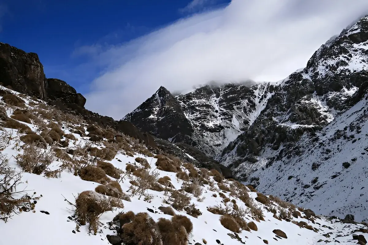 Alpine Morocco: 1-Day Middle Atlas & Ifrane Day Trip gallery 1