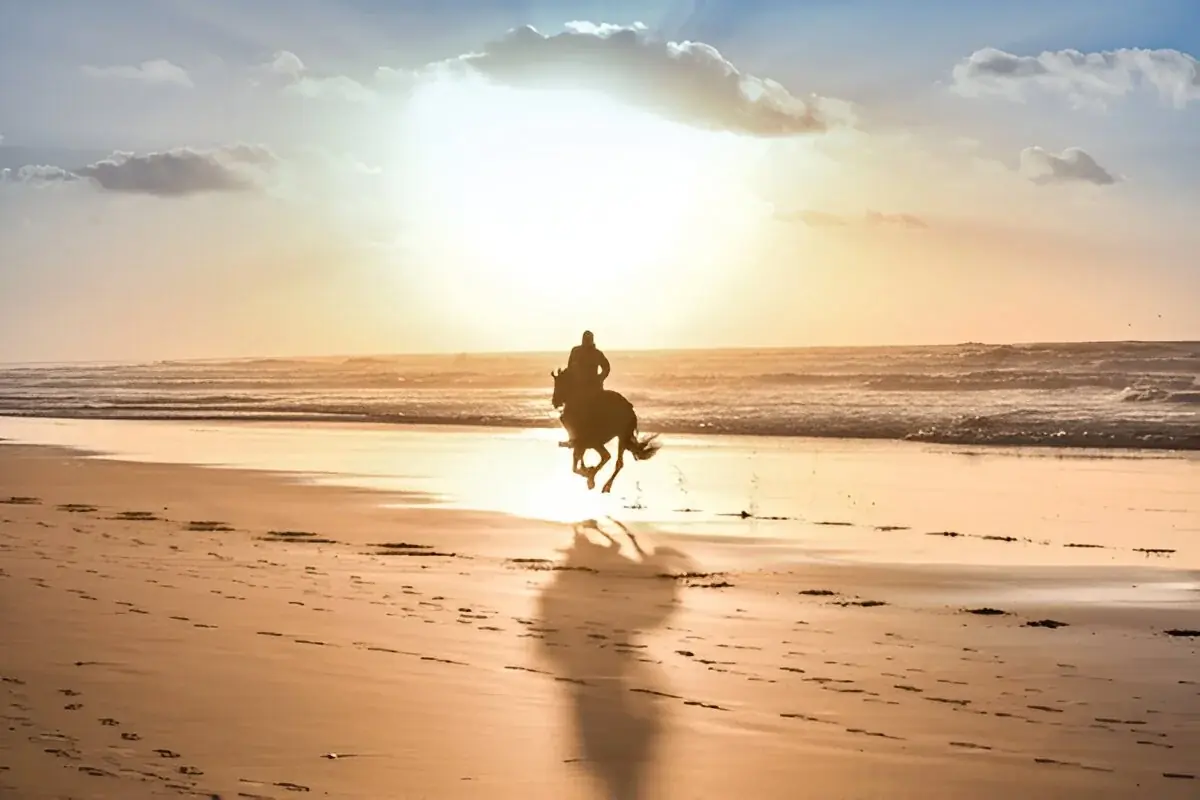 Casablanca Essentials: 1-Day Hassan II Mosque & Medina gallery 1