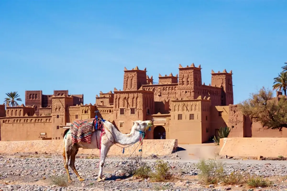Ouarzazate gallery 1