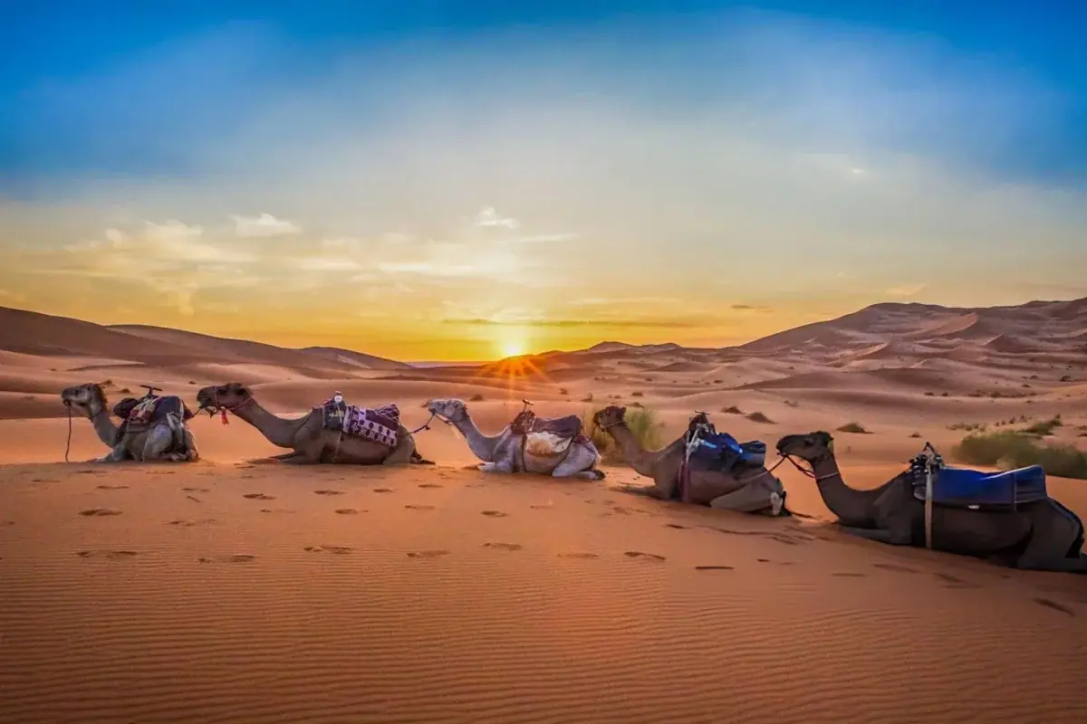 Gateway to the Sahara: 3-Day Merzouga Desert Adventure gallery 4