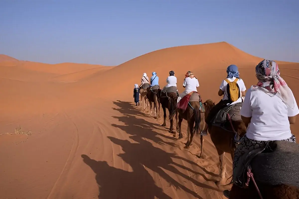 Desert Gateway: 2-Day Fes to Merzouga Desert gallery 1