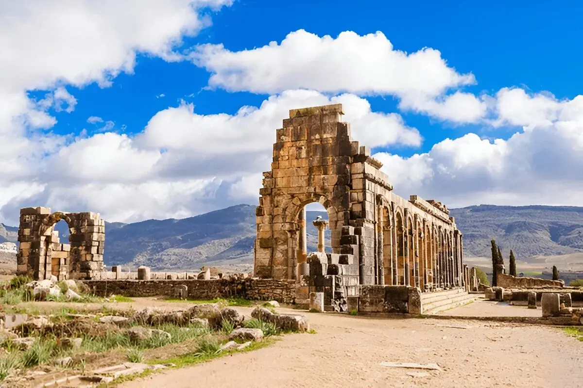 Volubilis gallery 1