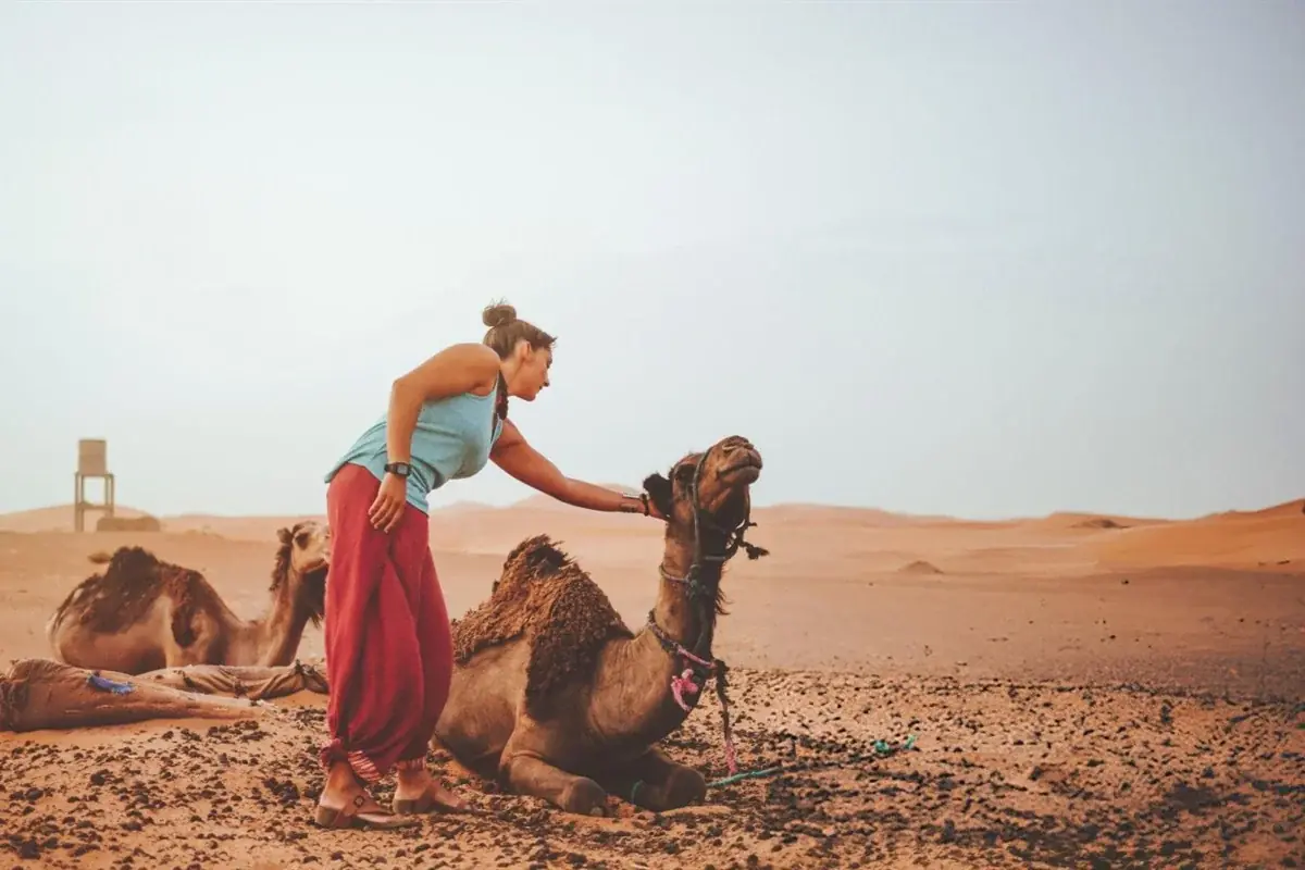 Merzouga gallery 2